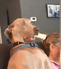 be9193ac242a393cd27aaa09e2941480.gif