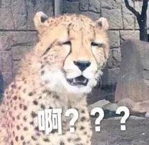 微信图片_20210309102850.jpg 84fa0c533515823e310070d2a83b3a6f.jpg