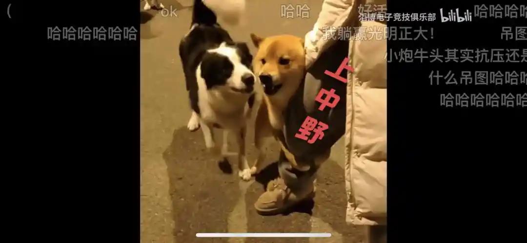 微信图片_20210318105146.jpg 3e7f3d2ec80cd992c123708ea4528aa1.jpg